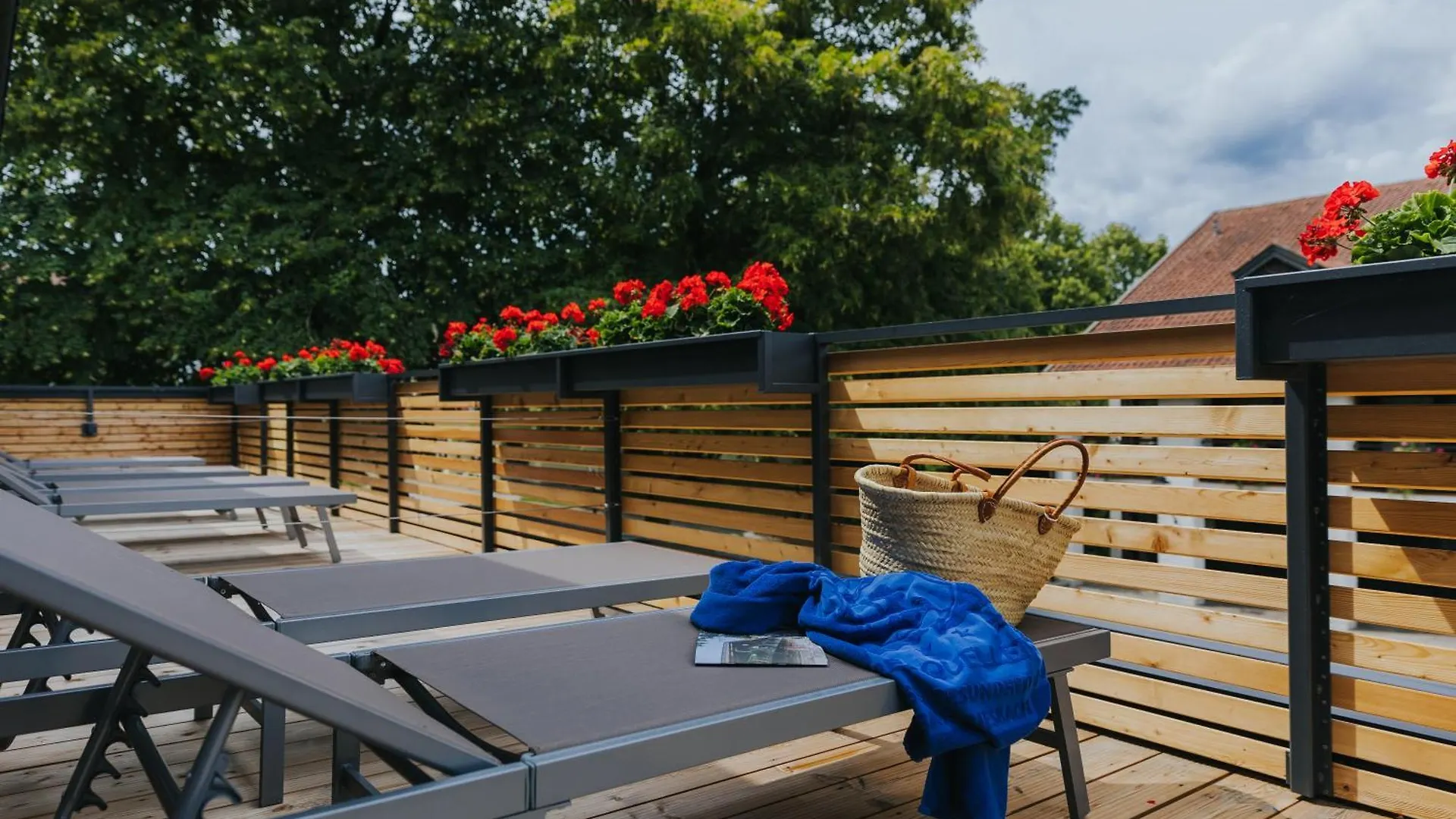 באד גריסבאך Hotel Drei Quellen Therme  באד גריסבאך